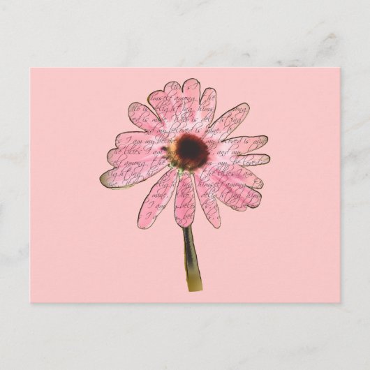 purpleconeflower最愛3 ポストカード (正面)