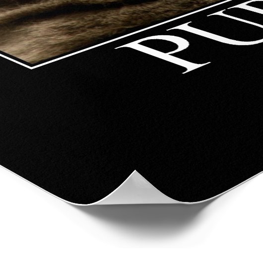 Purrは平和のための普遍的なサウンドArtwork ポスター (角)