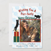 Purr-fecently Meerry Christmas Catsよくはしゃぐ写真 シーズンカード (正面)