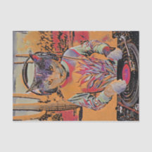 Purr Mix-a-Lot, Dj子猫Spins Tunes Stylized