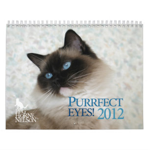 Purrfectの目! 2012年の猫のカレンダー カレンダー