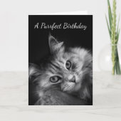 Purrfectの誕生日はカードを望みます カード (正面)
