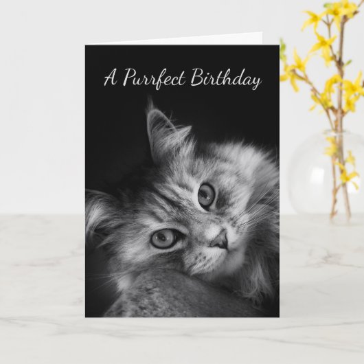 Purrfectの誕生日はカードを望みます カード (黄色い花)