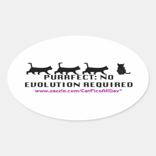 Purrfectの進化の広告宣伝のステッカー 楕円形シール