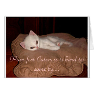 PurrfectのCuteness