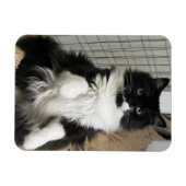 Purrfect Cat Photo Designed冷蔵庫 マグネット (横)