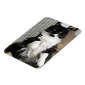 Purrfect Cat Photo Designed冷蔵庫 マグネット (左側)