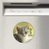 Purrfect Day Kitten Magnet マグネット (インサイチュ (食洗機))