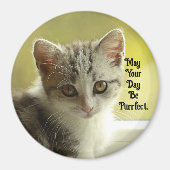 Purrfect Day Kitten Magnet マグネット (正面)