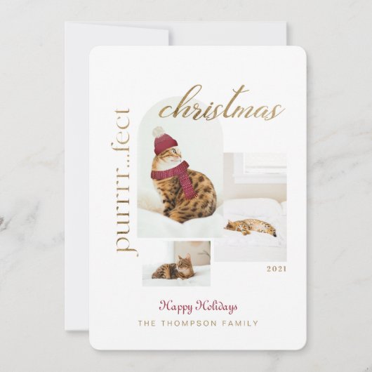 Purrrr..fectクリスマスおもしろい&居心地の良い猫3枚の写真 シーズンカード (正面)