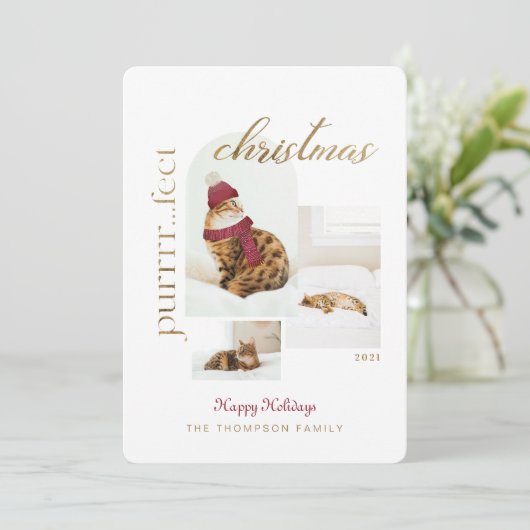 Purrrr..fectクリスマスおもしろい&居心地の良い猫3枚の写真 シーズンカード (スタンド正面)