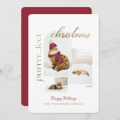 Purrrr..fectクリスマスおもしろい&居心地の良い猫3枚の写真 シーズンカード (正面/裏面)