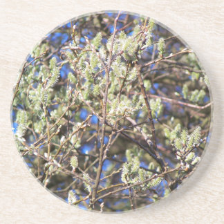 PUSSY WILLOW コースター