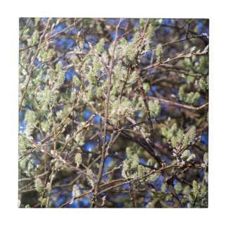 PUSSY WILLOW タイル