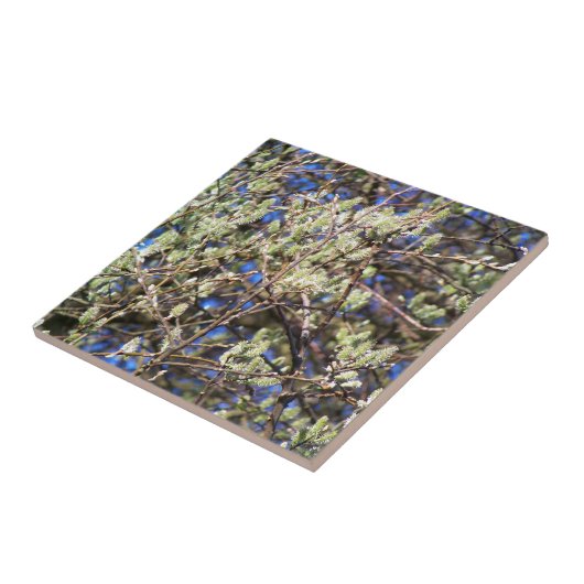 PUSSY WILLOW タイル (側面)