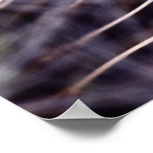 Pusteblume ポスター (角)