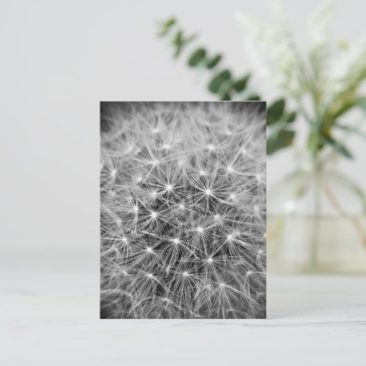 Pusteblume ポストカード (スタンド正面)