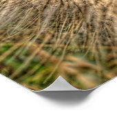 pusteblume 2007 ポスター (角)