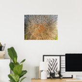 pusteblume 2007 ポスター (ホームオフィス)