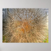 pusteblume 2007 ポスター (正面)