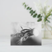 Pusteblume 2013 4 ポストカード (スタンド正面)