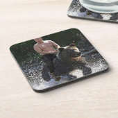 Putinはくまに乗ります! コースター (左側)