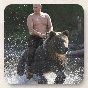 Putinはくまに乗ります! コースター