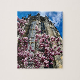 Puzzle Aachen Dom Magnolie  ジグソーパズル