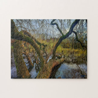 Puzzle “Árboles del agua – Parque en Ámsterdam” ジグソーパズル