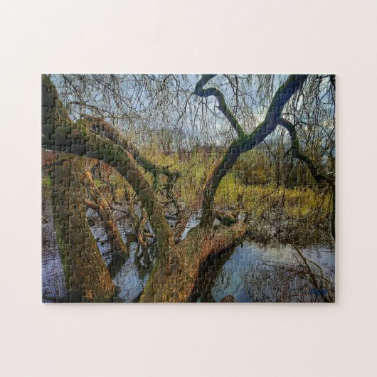 Puzzle “Árboles del agua – Parque en Ámsterdam” ジグソーパズル (横)