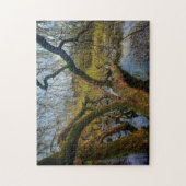 Puzzle “Árboles del agua – Parque en Ámsterdam” ジグソーパズル (縦)