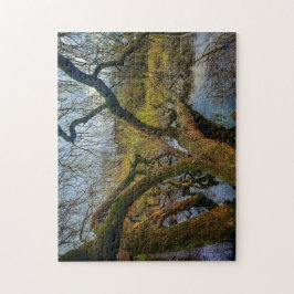 Puzzle “Árboles del agua – Parque en Ámsterdam” ジグソーパズル