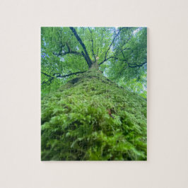 Puzzle Baum Moos  ジグソーパズル
