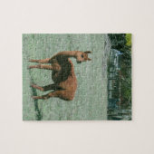 Puzzle - Brown Alpaca in Field ジグソーパズル (横)