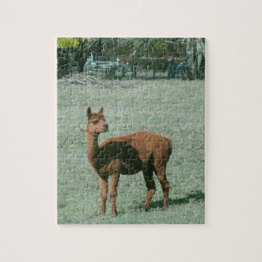 Puzzle - Brown Alpaca in Field ジグソーパズル (縦)