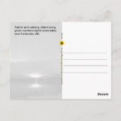 Puzzle Northern Lights, Fairbanks, AK – ポストカード (裏面)