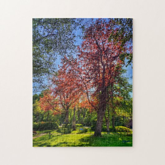 Puzzle “Rincón de luz – Einbeck en primavera” ジグソーパズル (縦)