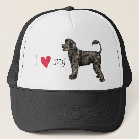 PWDが大好き キャップ (正面)