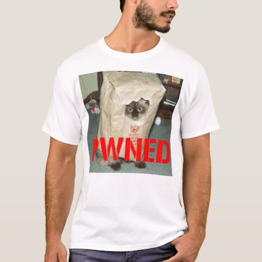 pwnage、ゲーマーのモットー tシャツ (正面)