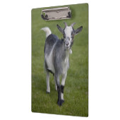 Pygmyヤギのクリップボード クリップボード (左)