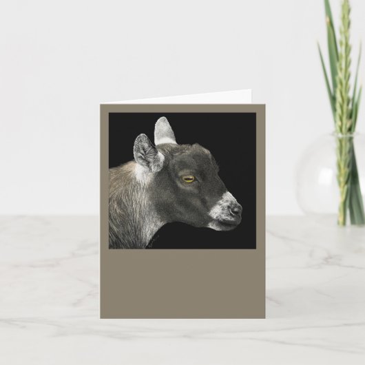 Pygmy Goat Card - "Show Goat" カード (正面)