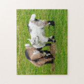 Pygmy Goat Kids Jigsaw puzzle ジグソーパズル (縦)