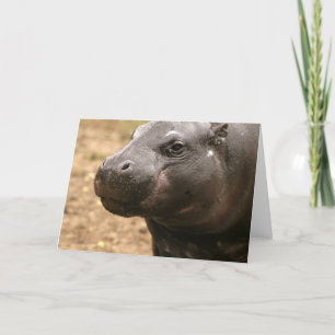Pygmy Hippoグリーティングカード カード