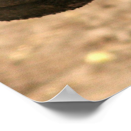 Pygmy Hippoポスター ポスター (角)