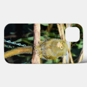 Pygmy Marmoset On Branch, iPhone 13ケース Case-Mate iPhoneケース (裏面 (横))