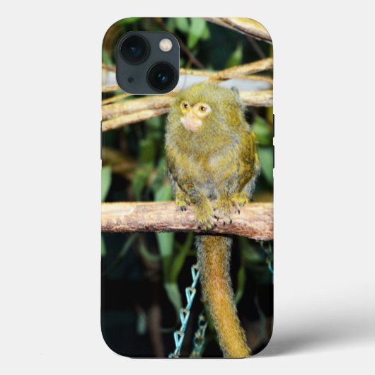 Pygmy Marmoset On Branch, iPhone 13ケース Case-Mate iPhoneケース (裏面)