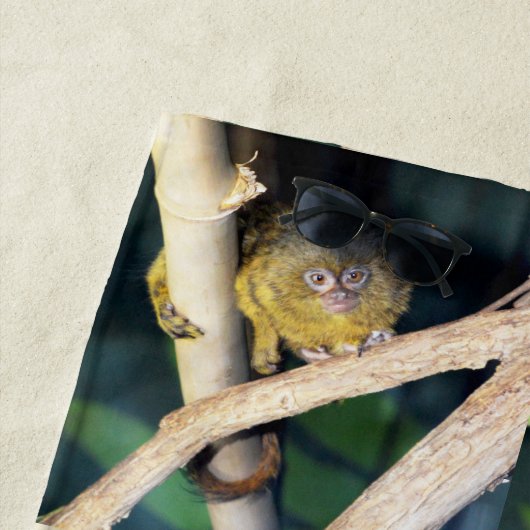 Pygmy Marmoset Tree Hugger、ビーチタオル ビーチタオル (インサイチュ)
