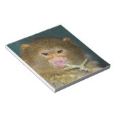 pygmymarmoset10x10 ノートパッド (アングル)