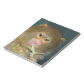 pygmymarmoset10x10 ノートパッド (回転)