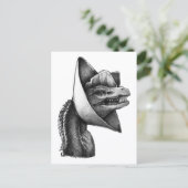 PygmyPets "Dennis" Dilophosaurus – はがき (スタンド正面)